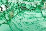 Flowery Polished Malachite Specimen - DR Congo #374480-1
